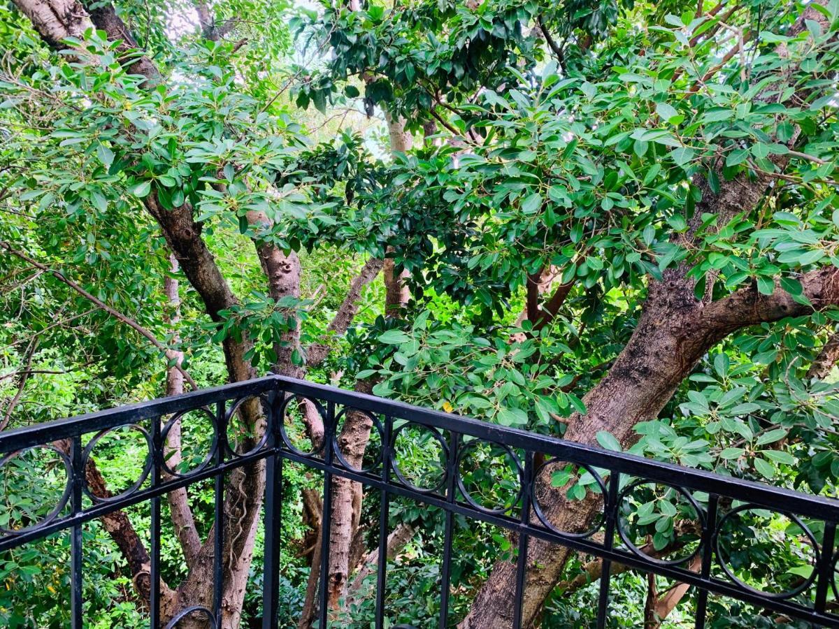 Villa Antilope Cancún Kültér fotó